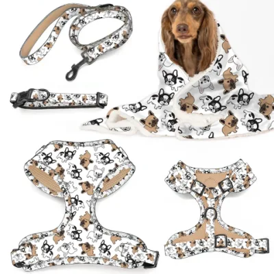 Set di imbracature per cani colorate personalizzate da 6 pezzi Accessori per animali domestici