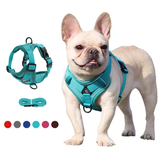 Cintura per gilet per cani, regolabile, riflettente, traspirante, accessori per animali domestici. Imbracatura per cani