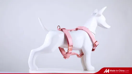 Collezione Designer Pettorina per cani con accessori per animali domestici di alta qualità