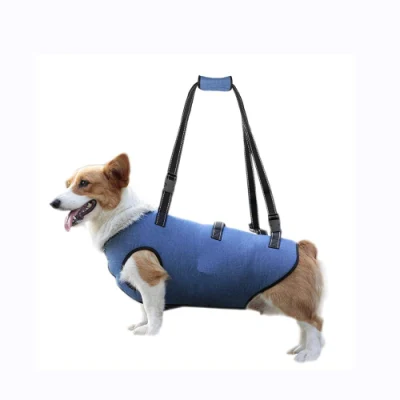 Sling Lift Supporto completo per il corpo Imbracatura per sollevamento cani Cinghie traspiranti imbottite regolabili Riabilitazione infortuni per anziani disabili